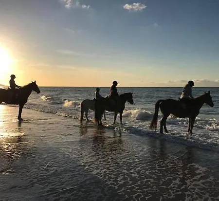 Les Pieds Dans L'eau *