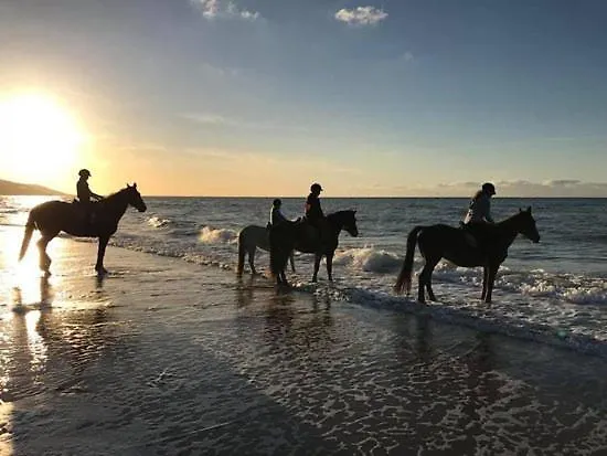 Les Pieds Dans L'eau *
